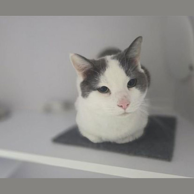 Photo of George