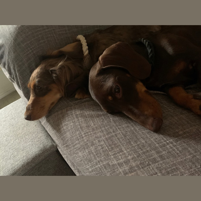 Photo of Norman And Nessa 