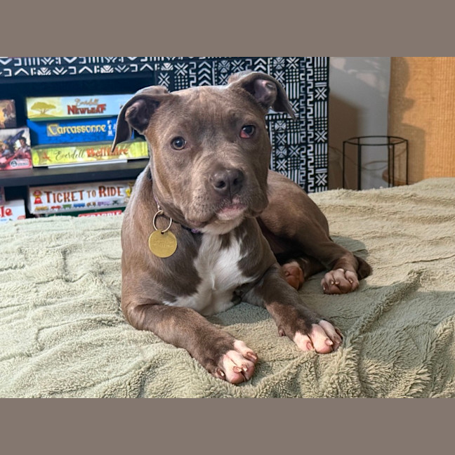 Photo of Azula