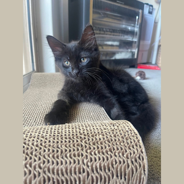 Photo of Storm