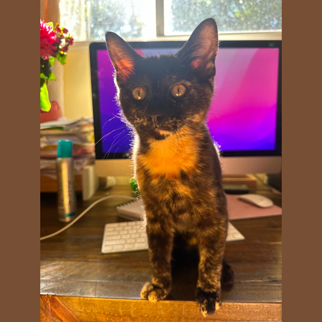 Photo of Georgia