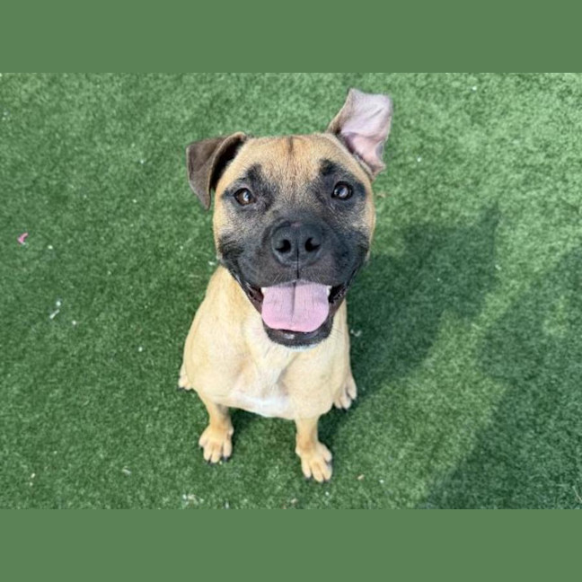 Photo of Unity Imp 245