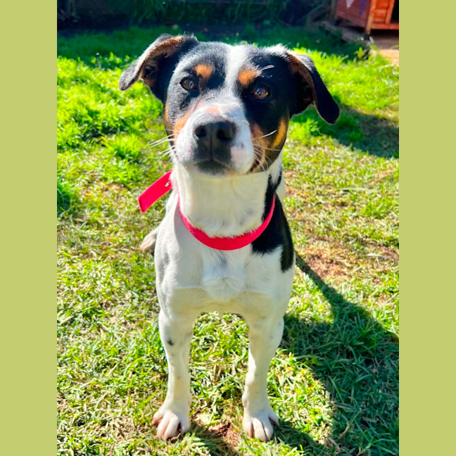 Photo of Buster
