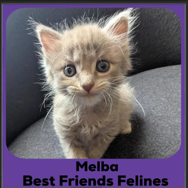 Photo of Melba 