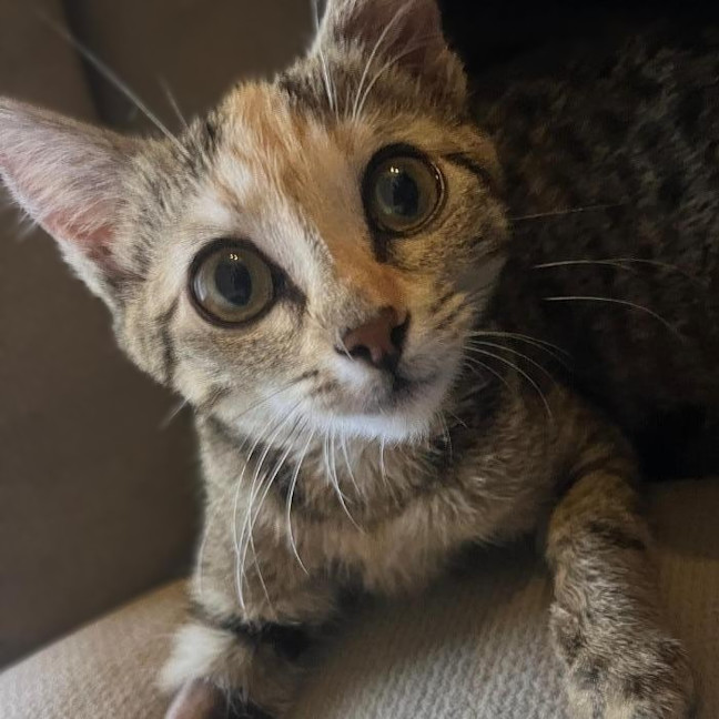 Photo of Lucie