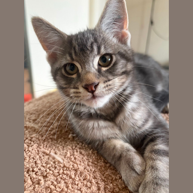 Photo of Jeremiah
