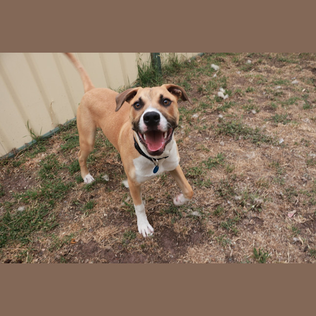 Photo of Dudley