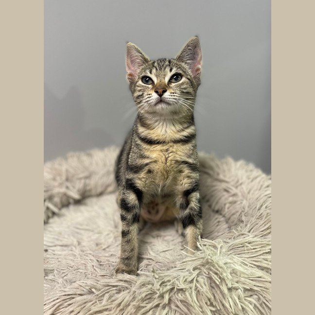 Photo of Mia