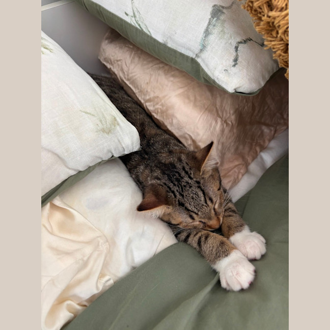 Photo of Boots