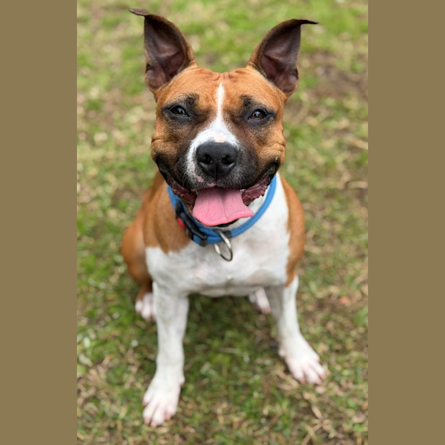 Photo of Bingo