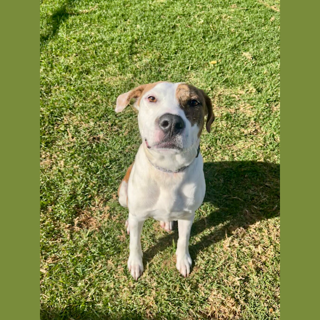 Photo of Addie