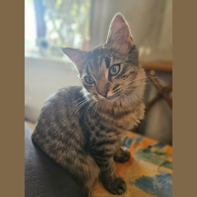 Photo of Kiara