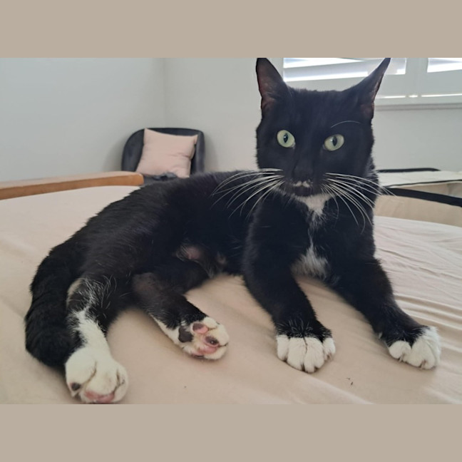 Photo of Sundae