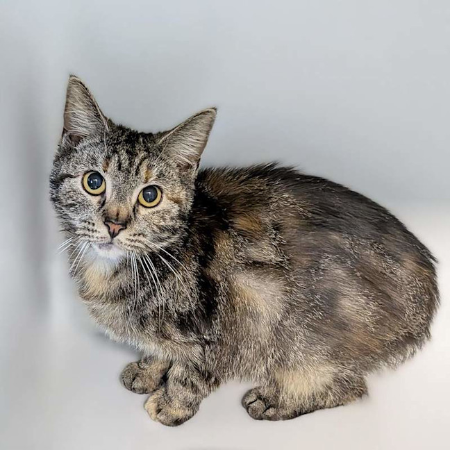 Photo of Bilbo