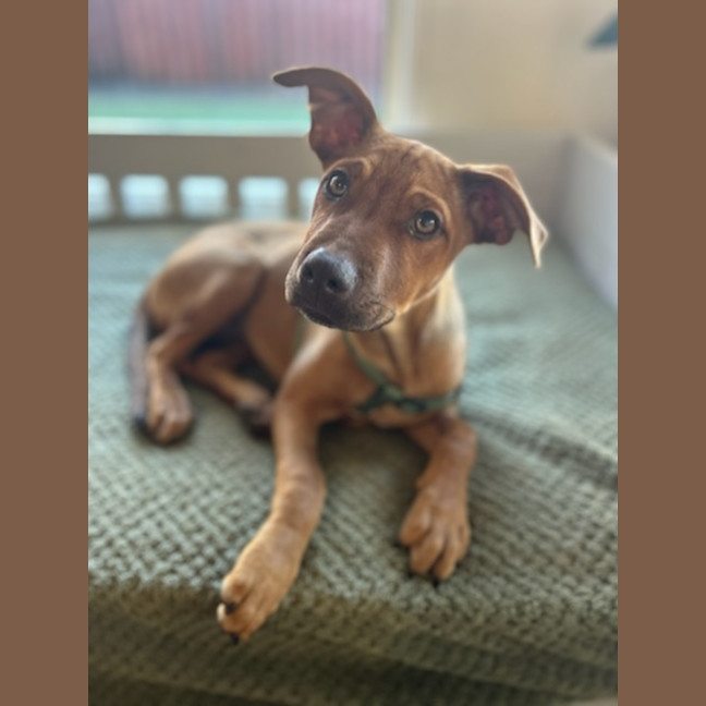 Photo of Salsa