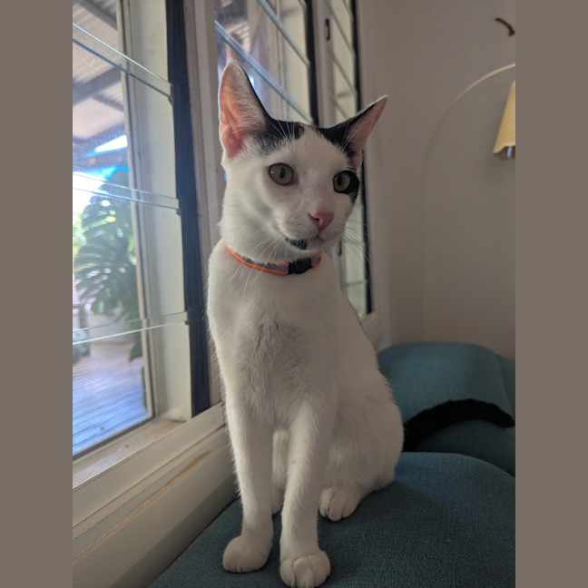 Photo of Ferris