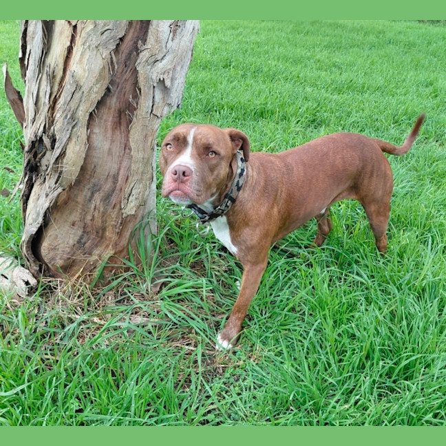 Photo of Jett