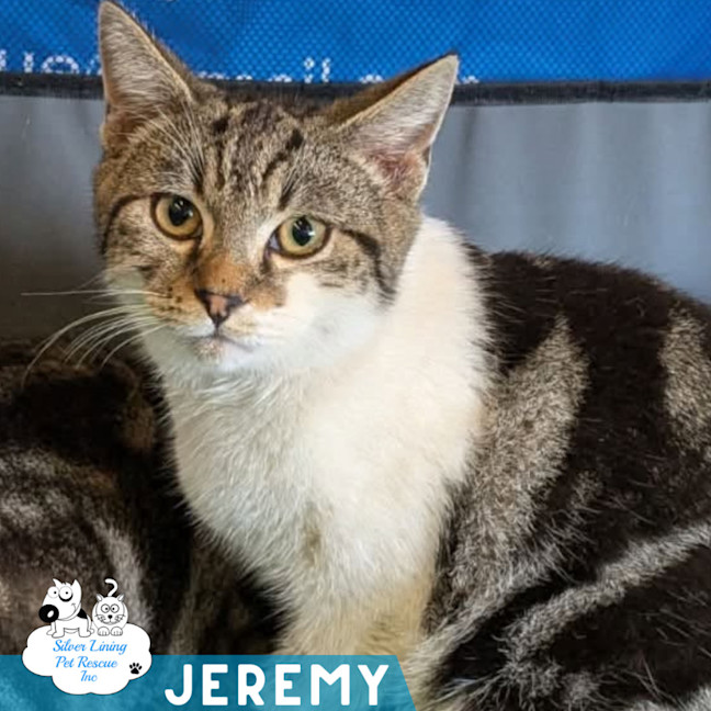 Photo of Jeremy