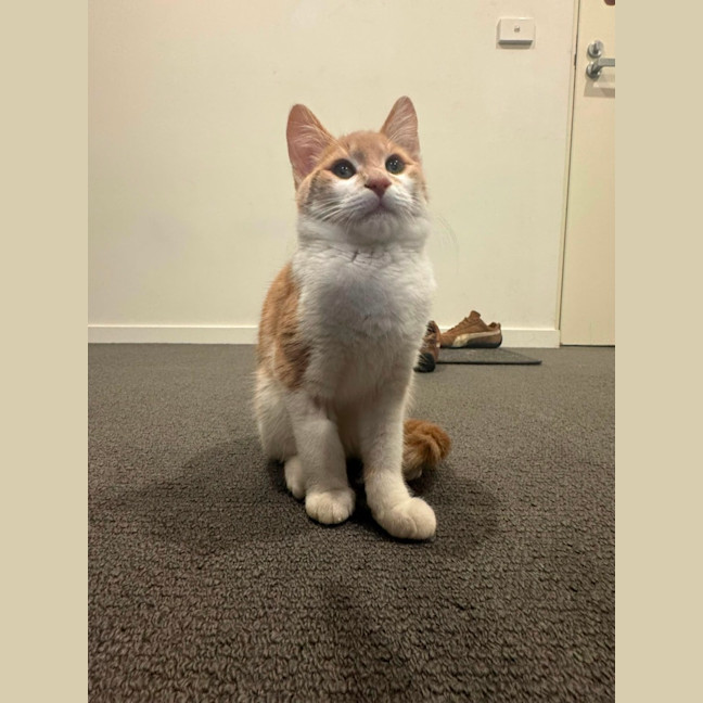 Photo of Bingo
