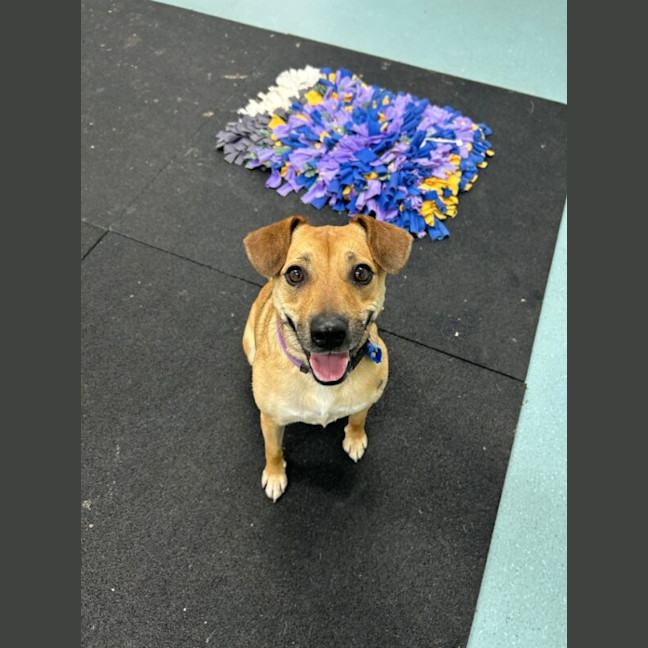 Photo of Sasha