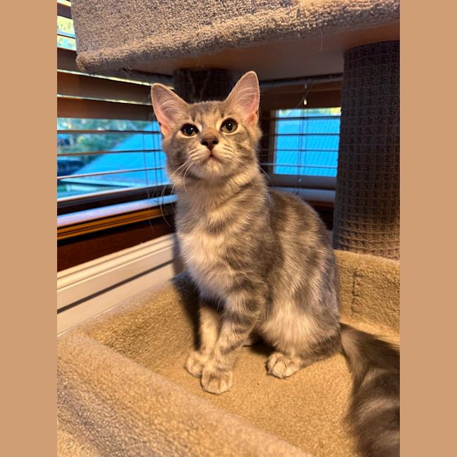 Photo of Jadzia