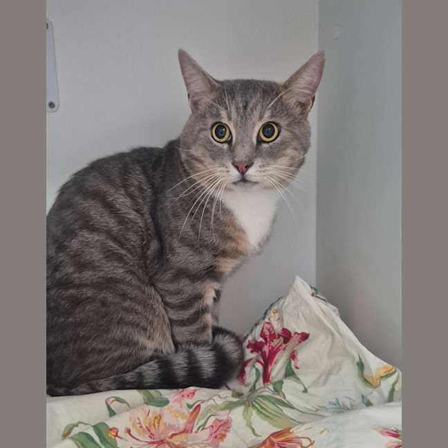 Photo of David (9185)