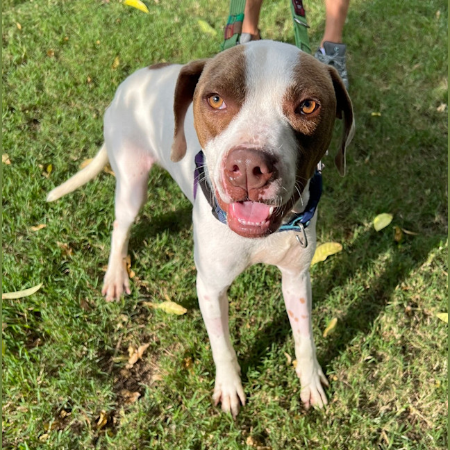 Photo of Duke