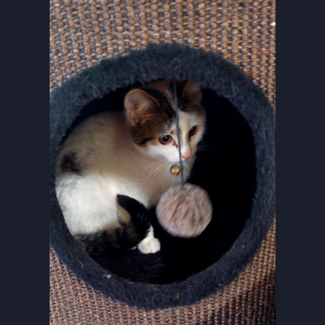 Photo of Kimmie 🌺