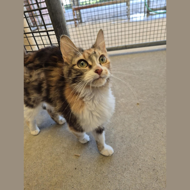 Photo of Maree! 🎀