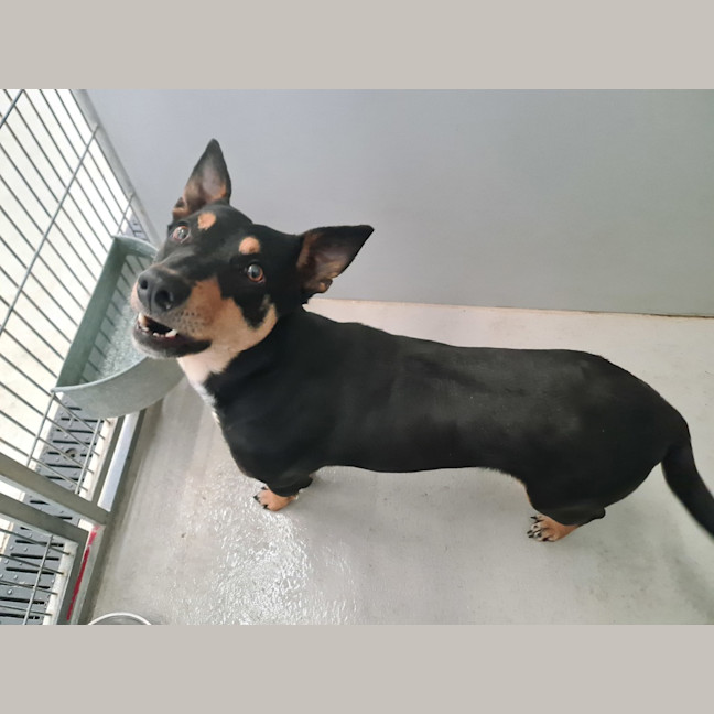 Photo of Dolly Parton