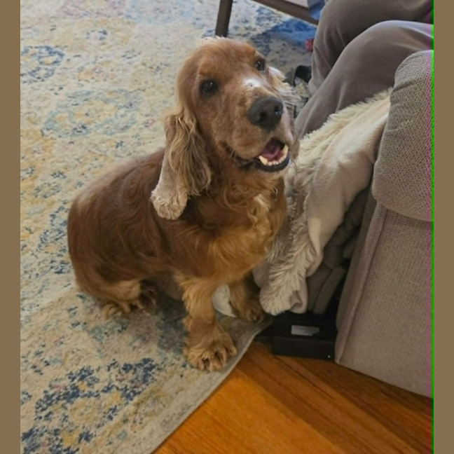 Photo of Dudley