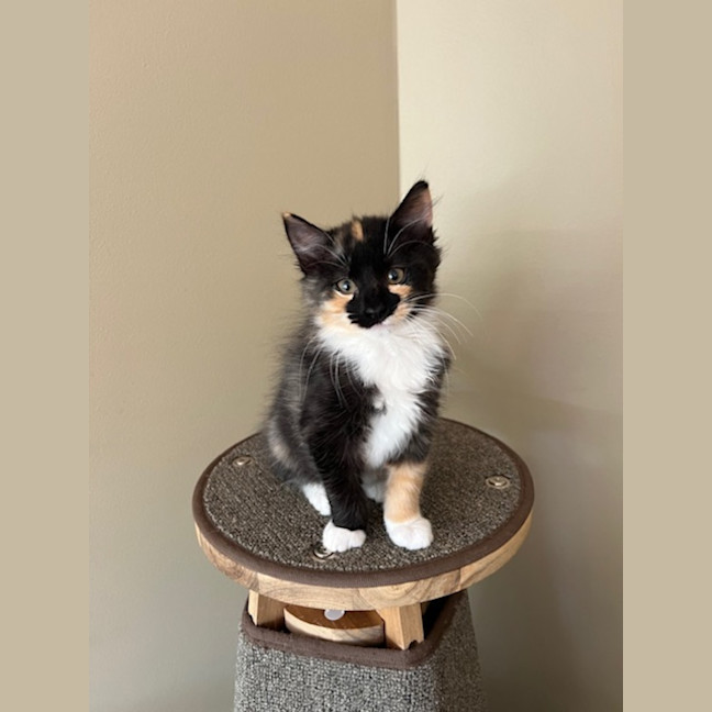 Photo of Bruce & Marigold