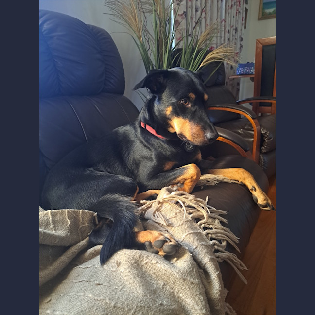 Photo of Leroy
