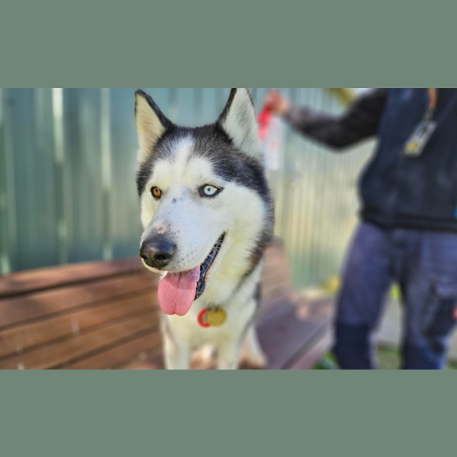 Photo of Max
