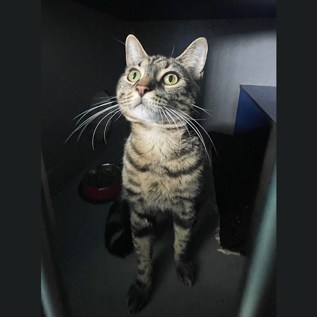 Photo of Ernie