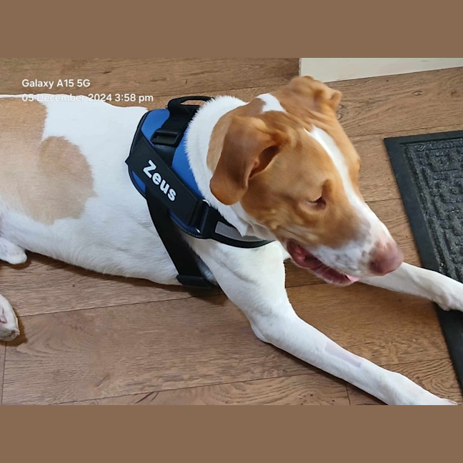 Photo of Zeus