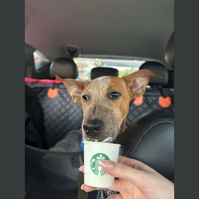 Photo of Oliver