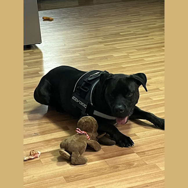 Photo of Zeus