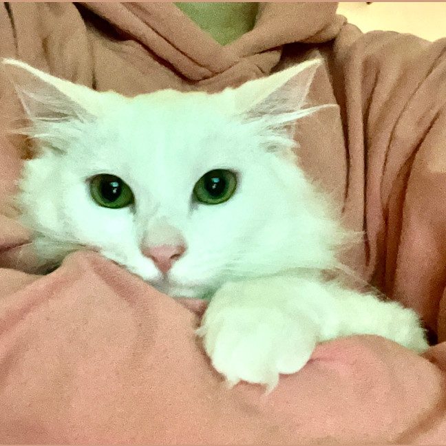 Photo of Portia