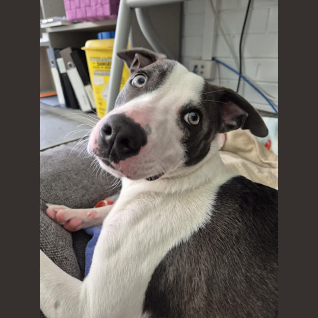 Photo of Zippy! 🪀