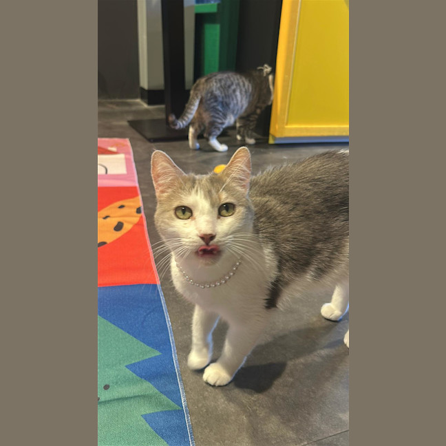 Photo of Mr. Baby