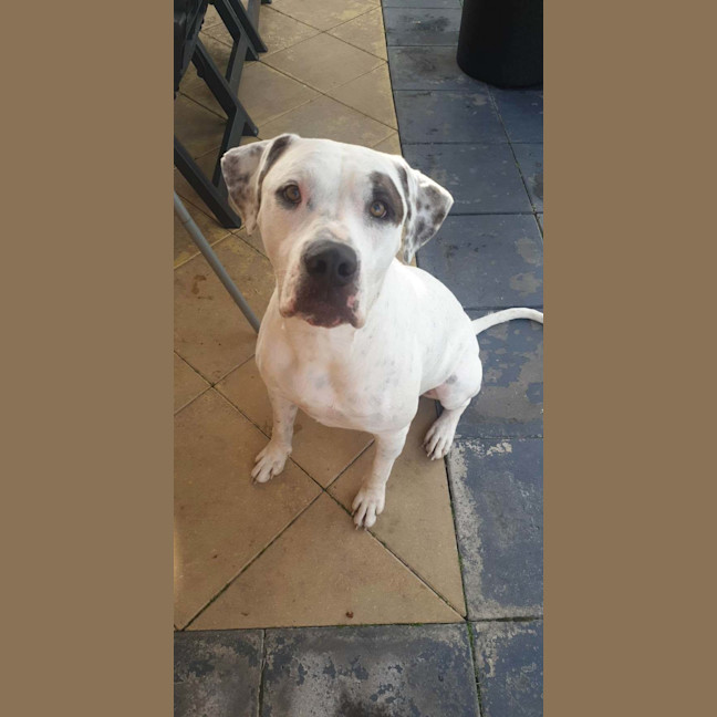 Photo of Tucker