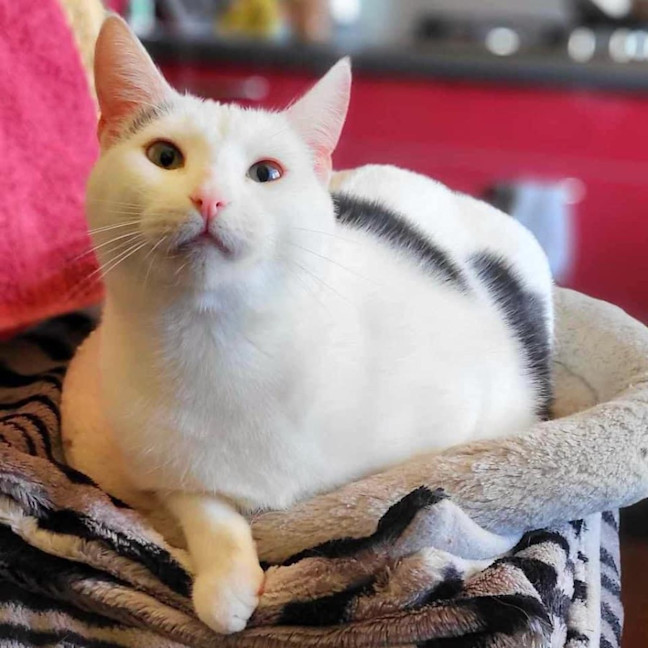 Photo of 9761   Acadia