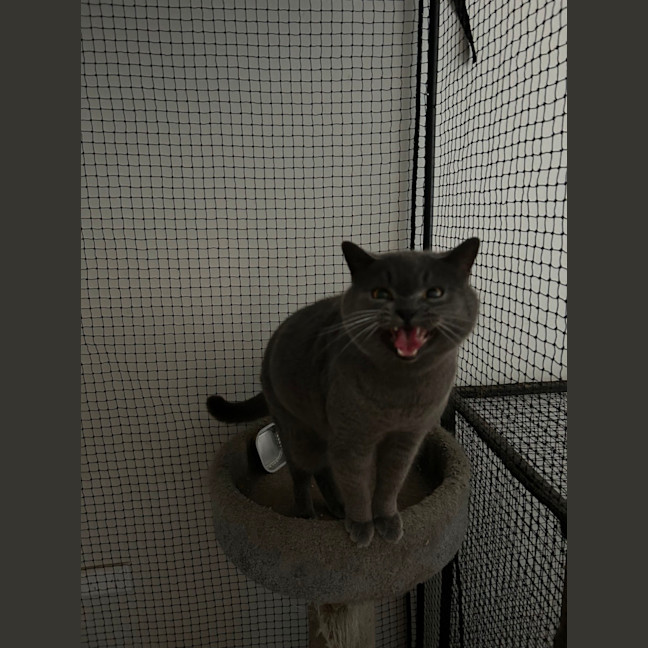 Photo of Buster 