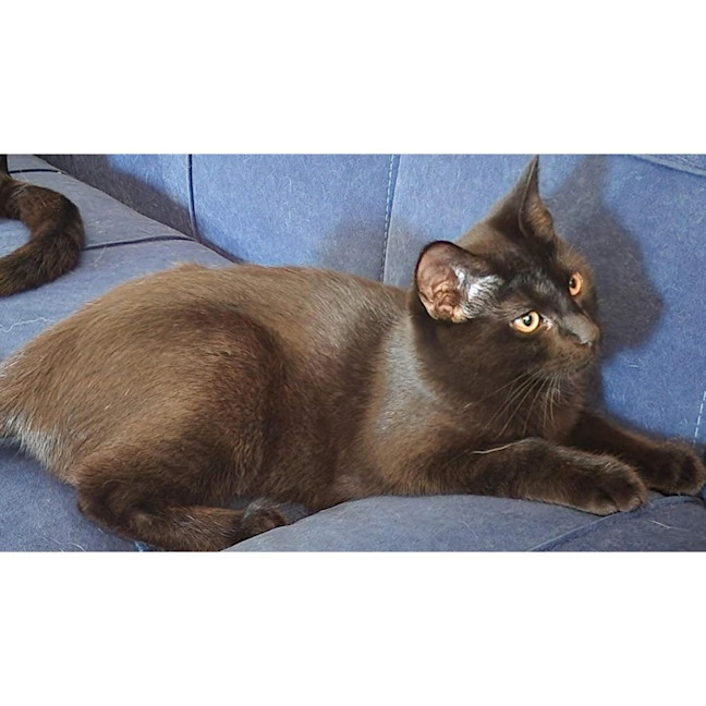 Photo of 13314   Eclipse