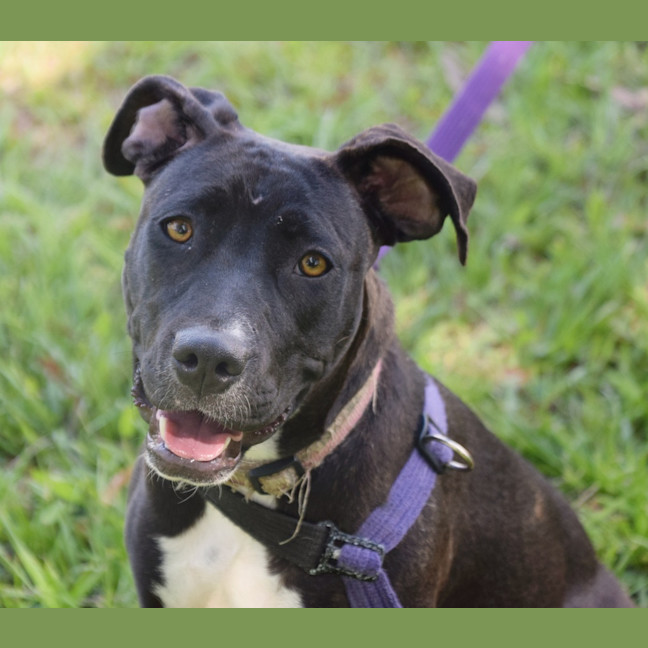 Photo of Missy