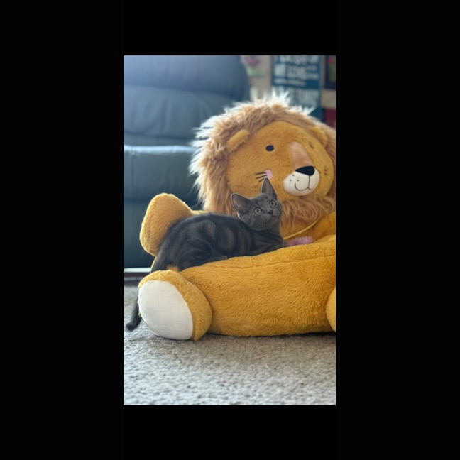 Photo of Titten Meet Me@Petstock Mornington Store Nepean Hwy