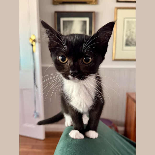 Photo of Baby & Belle