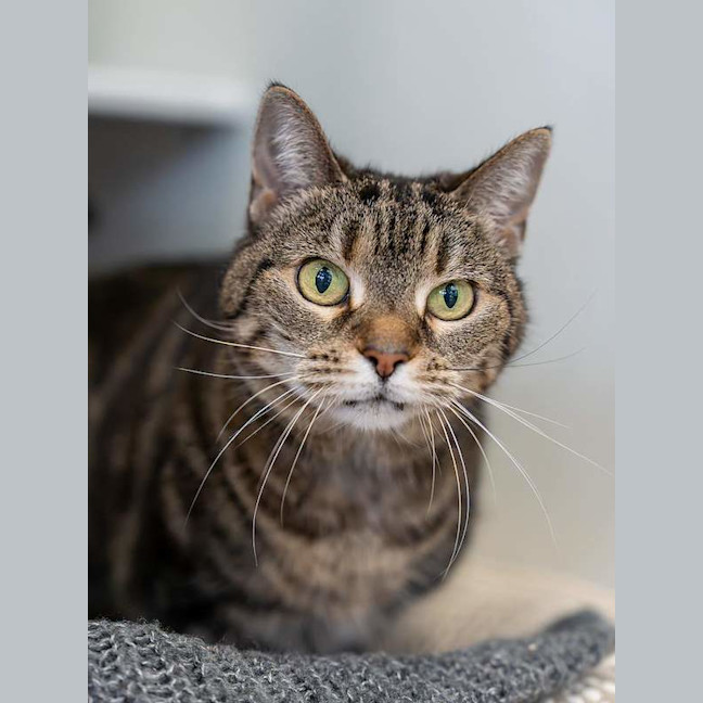 Photo of Cleo
