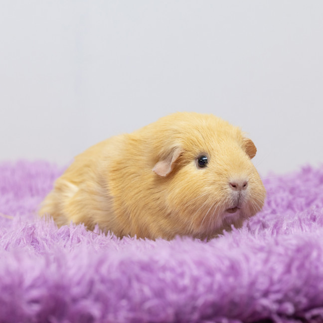 Photo of Regina
